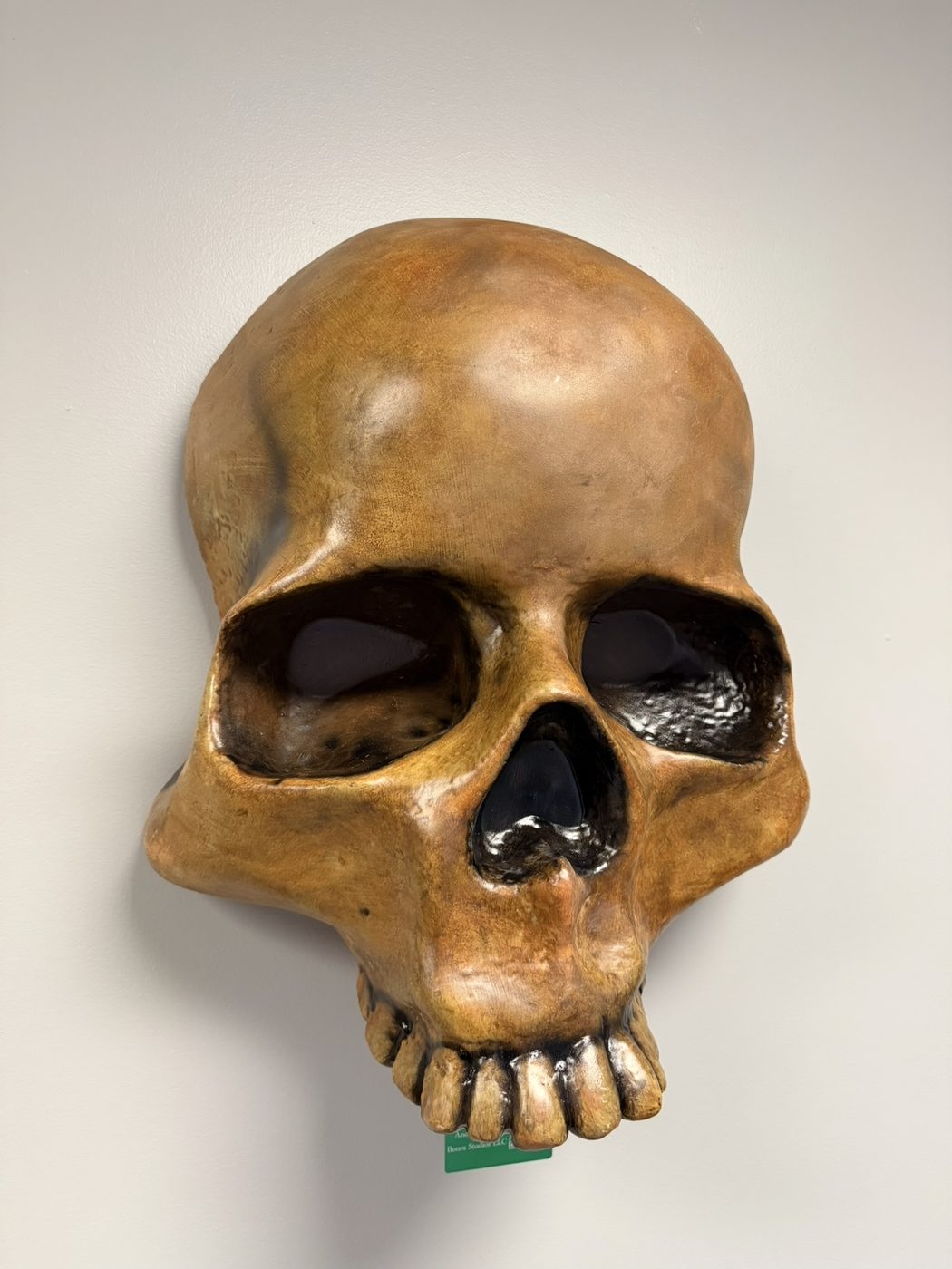 Bones Studios project 007