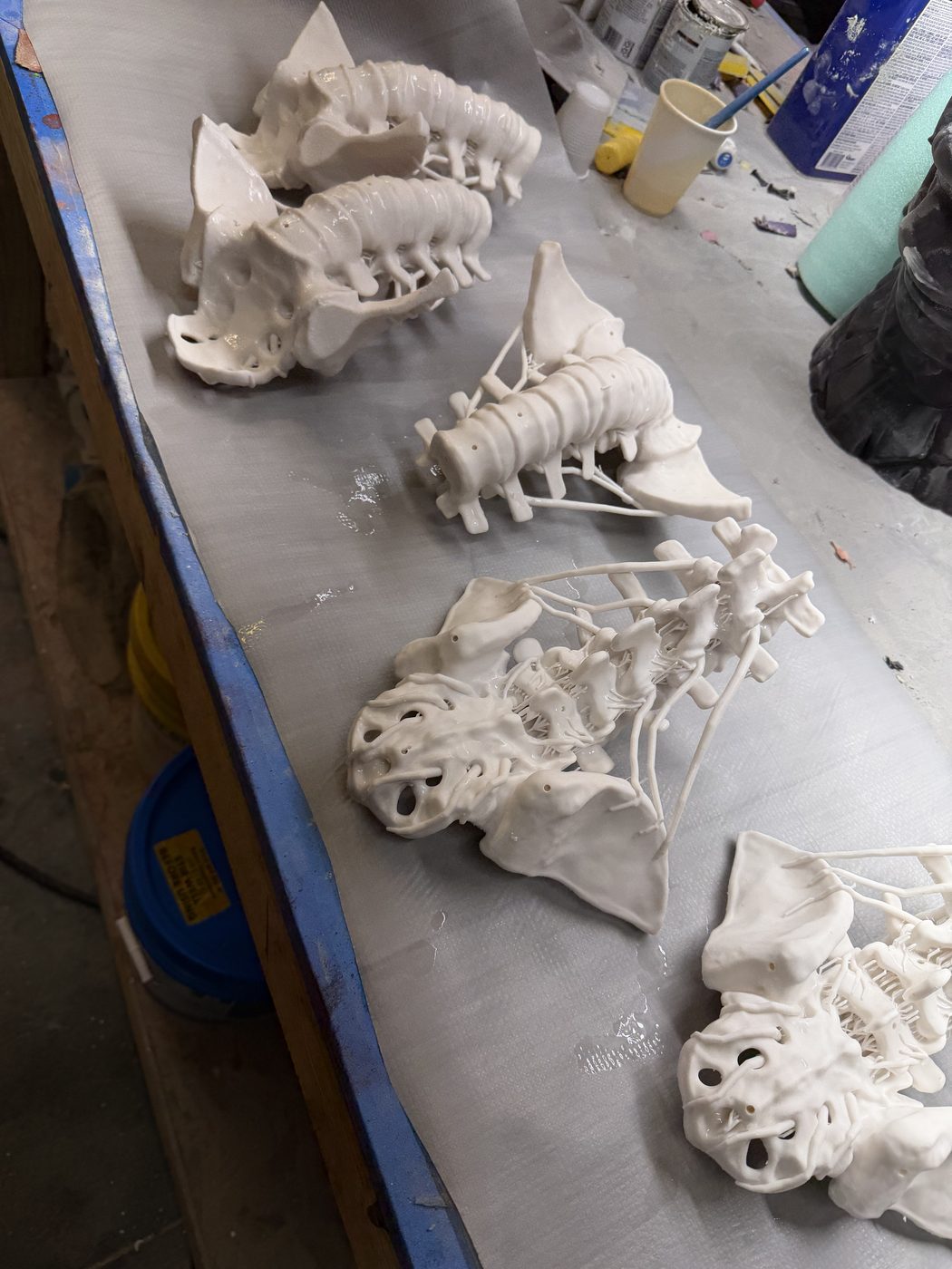 Bones Studios project 041