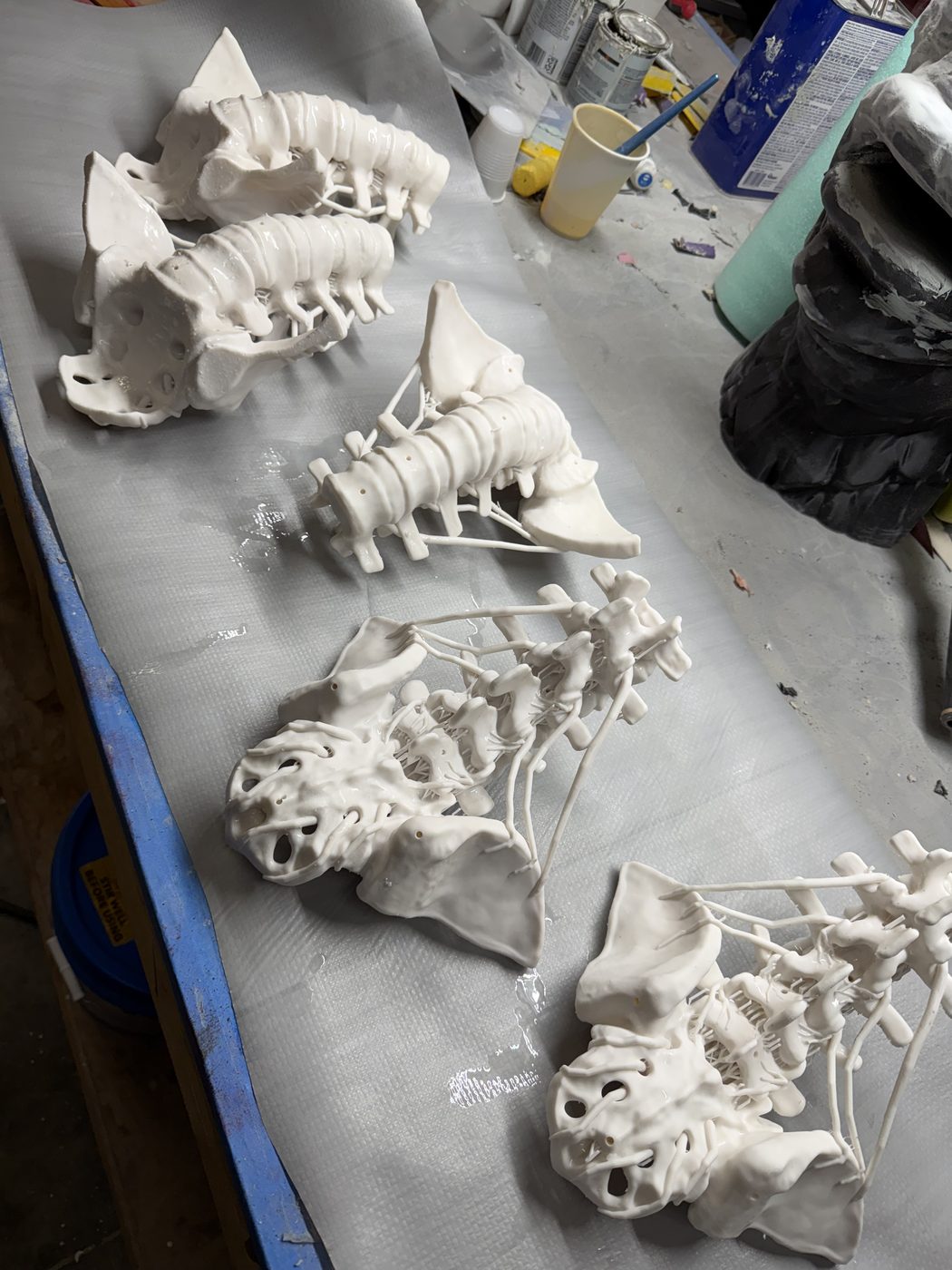 Bones Studios project 042