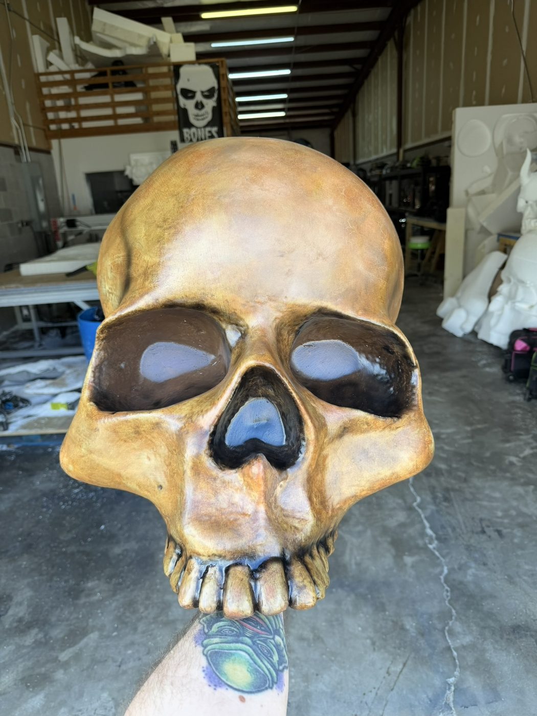Bones Studios project 067