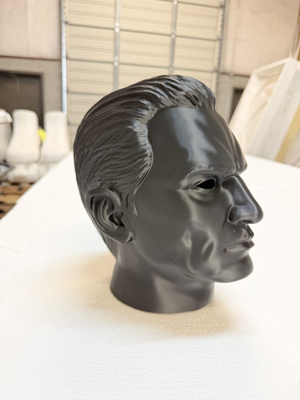 Bones Studios project 101